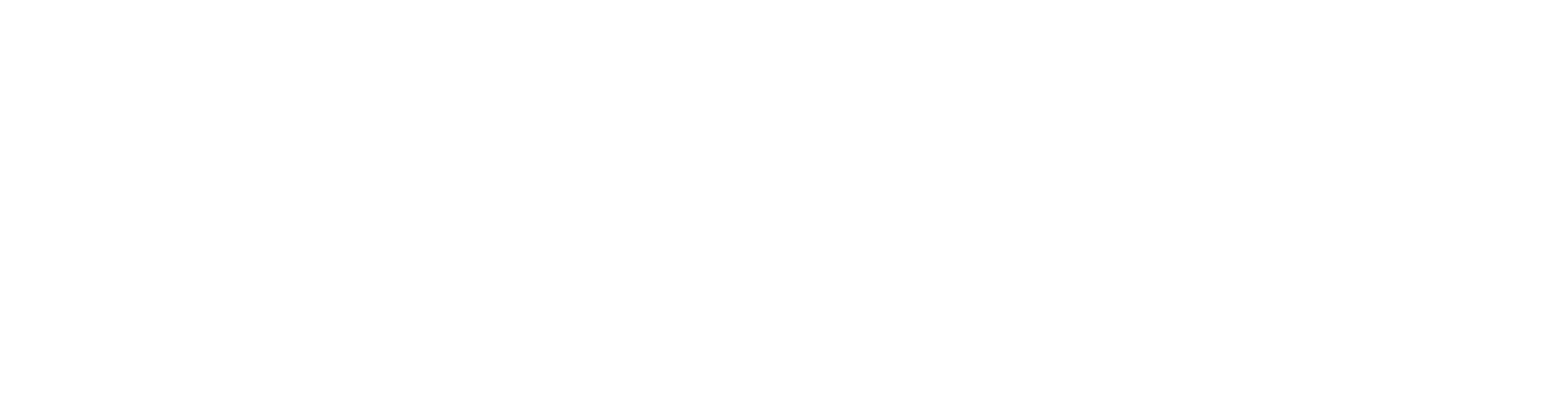 ParvaSoft Group